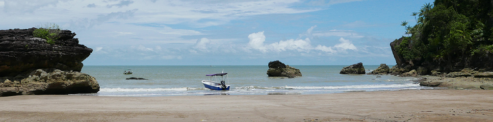 A beach in Bako National Park