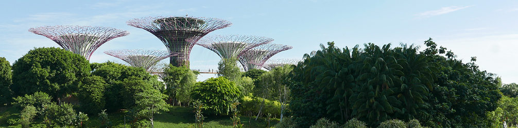 Supertree Grove at Gardens by the Bay