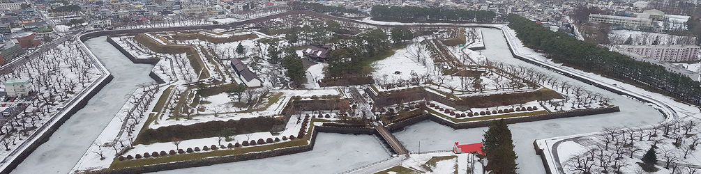 View of Goryokaku from Goryukaku tower