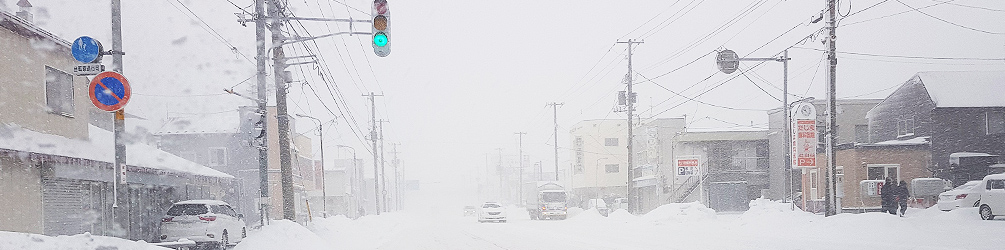 Snowy Streets of Hakodate