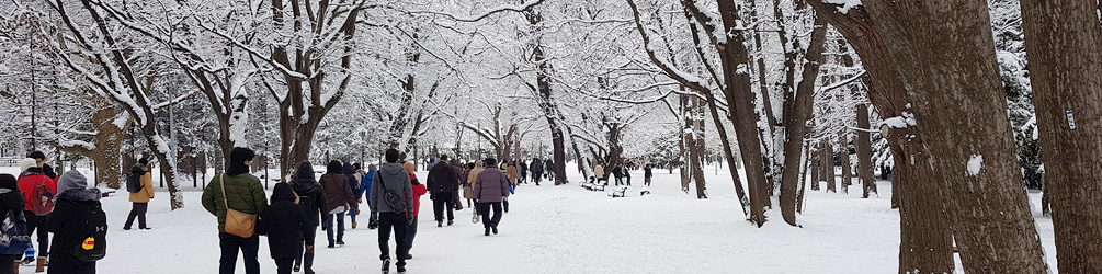 Maruyama Park in Winter