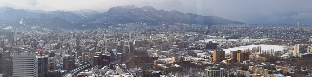 View of Sapporo looking west